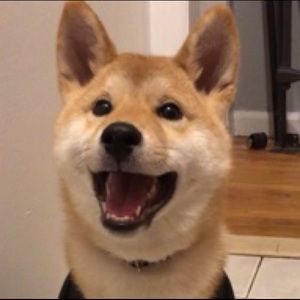 Meet your Posher, Chelsea